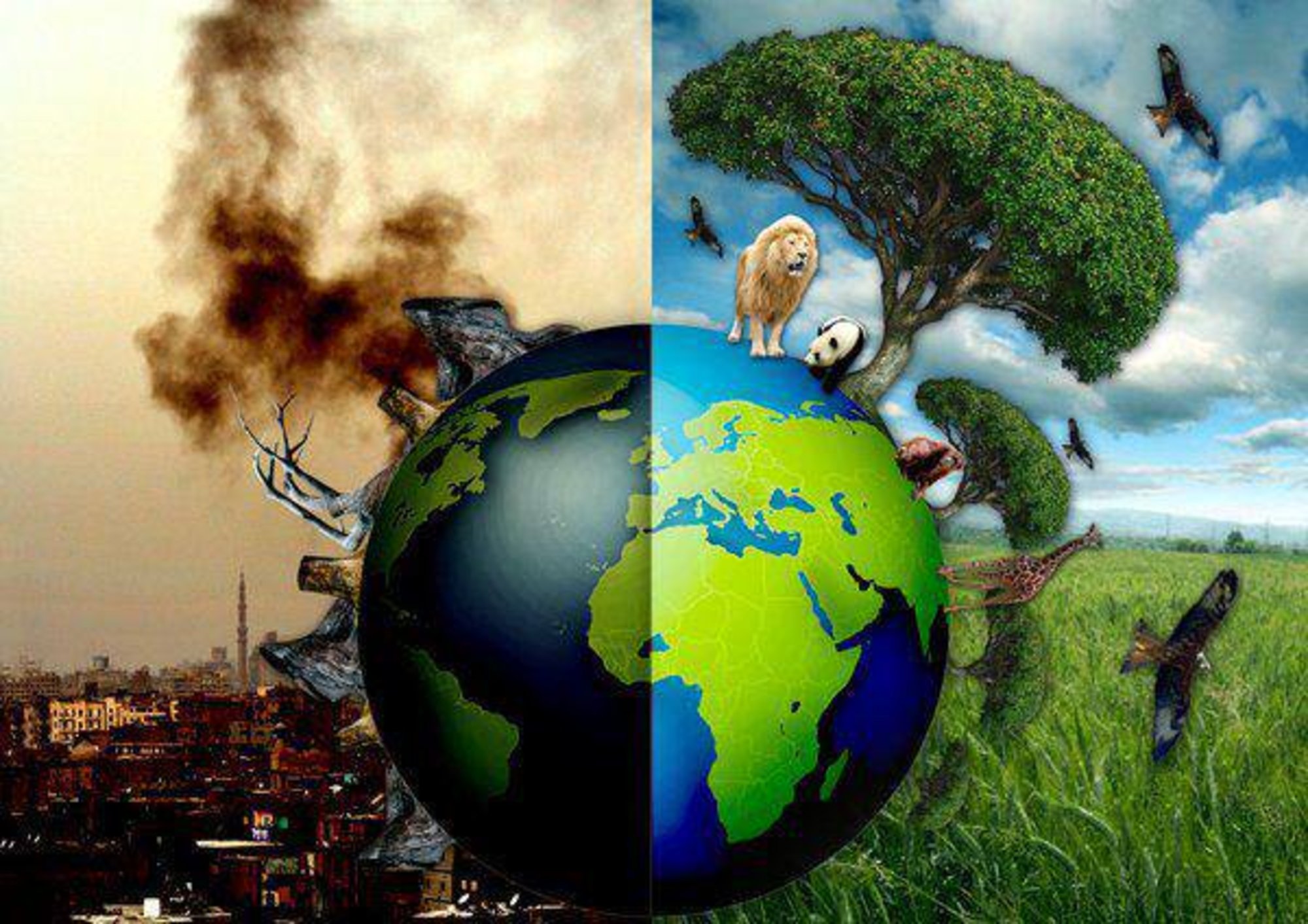 WC écologiques : illustration pollution monde
