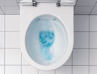 De plus en plus présent dans nos sanitaires, le WC sans bride est