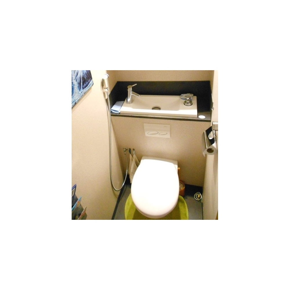 Kit Douchette Wc Suspendu,Chromage,PulvéRisateur De Bidet Portable,Douchette  Toilette Wc Portable,Ensemble De Rinçage Sous Pression En Cuivre Mixte  Chaud Et Froid,Chrome A : : Bricolage