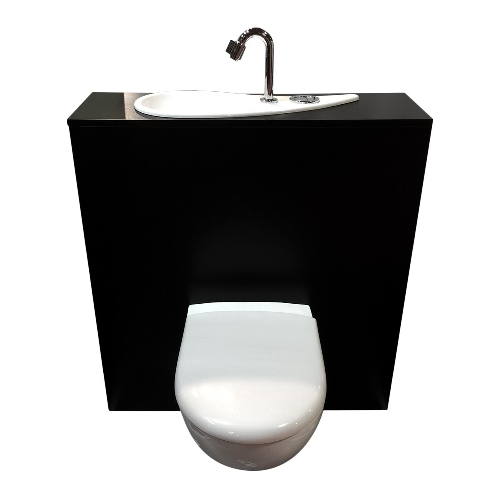 Toilette suspendu Geberit avec lavabo intégré