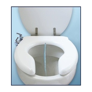 Japanese toilet seat without electronics
