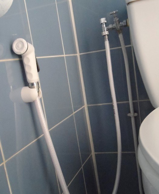 Bidet sprayer 1